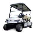 Ắc quy xe golf điện