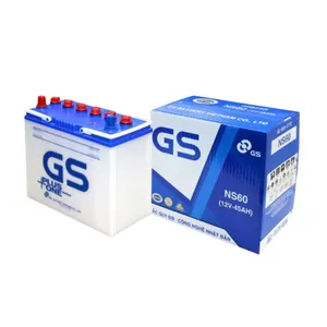 ac quy gs ns60 12v 45ahpng